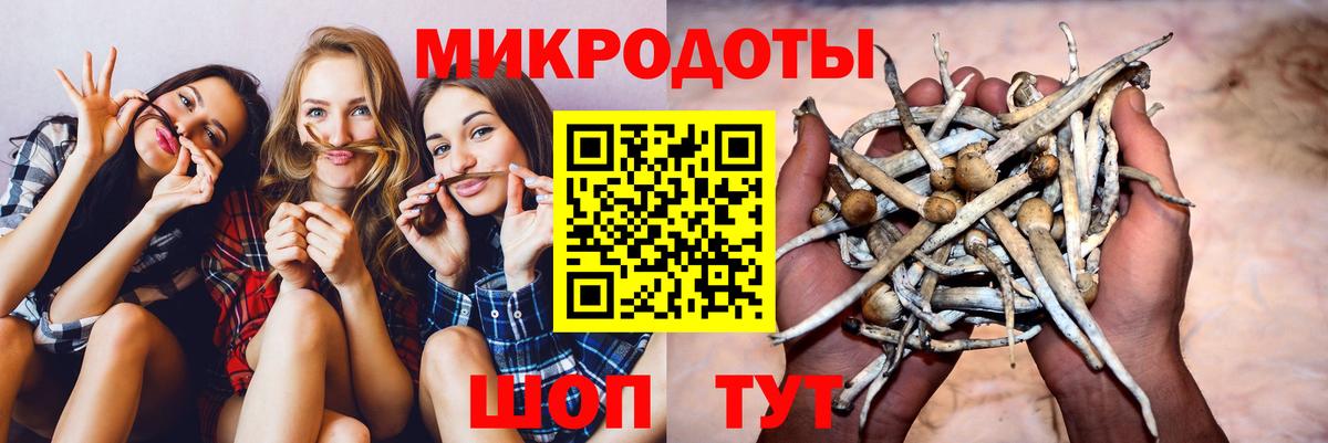 Бердск  Псилоцибиновые грибы мухоморы  Вход с VPN  Галлюциногенные грибы Cubensis 